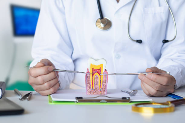 Best Emergency Tooth Extraction in St Ignace, MI